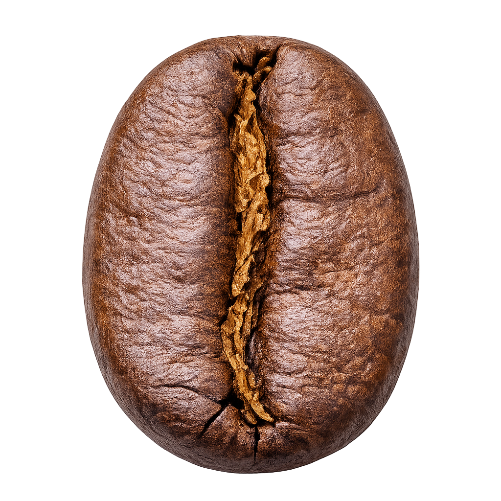 Winowna Blue Mountain Coffee Bean Close-Up